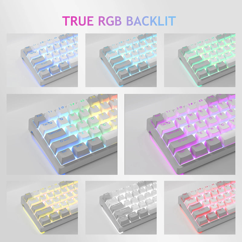 AULA-RGB 60 por cento teclado mecânico com fio, mini USB compacto